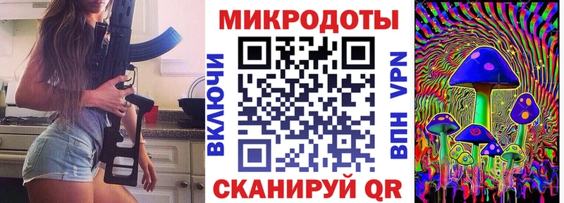 Купить  Сим  Псилоцибиновые грибы GOLDEN TEACHER 